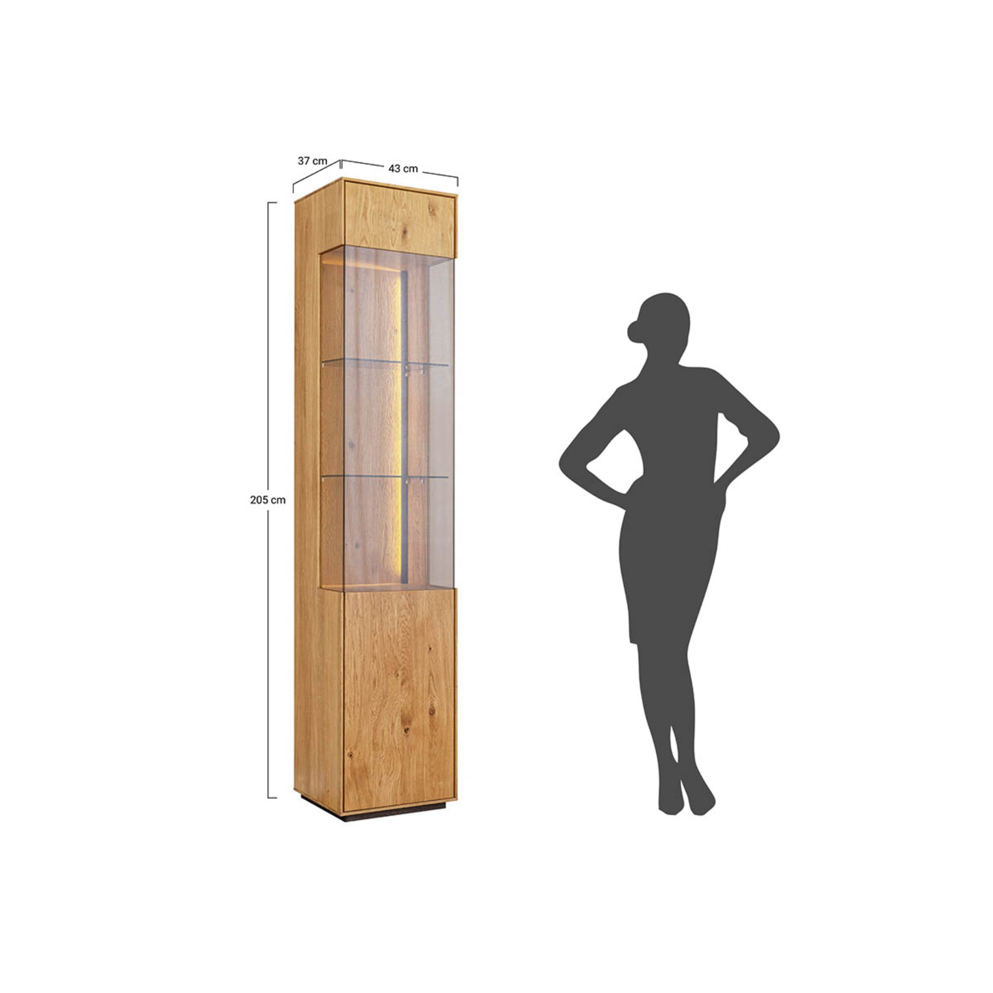 Vitrina Collodi 43x205cm, Materijal: Masivno Drvo Hrast