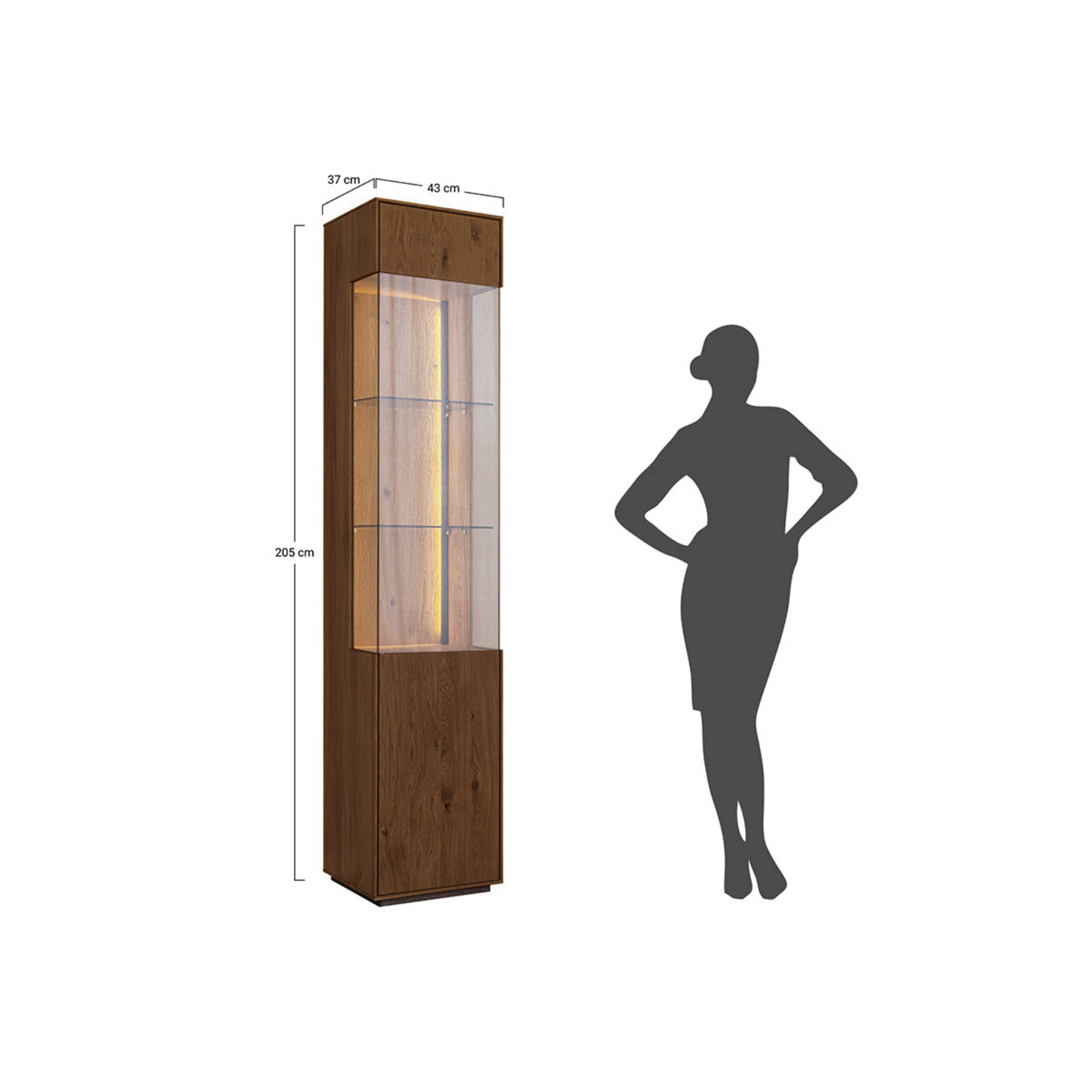 Vitrina Collodi 43x205cm, Materijal: Masivno Drvo Hrast