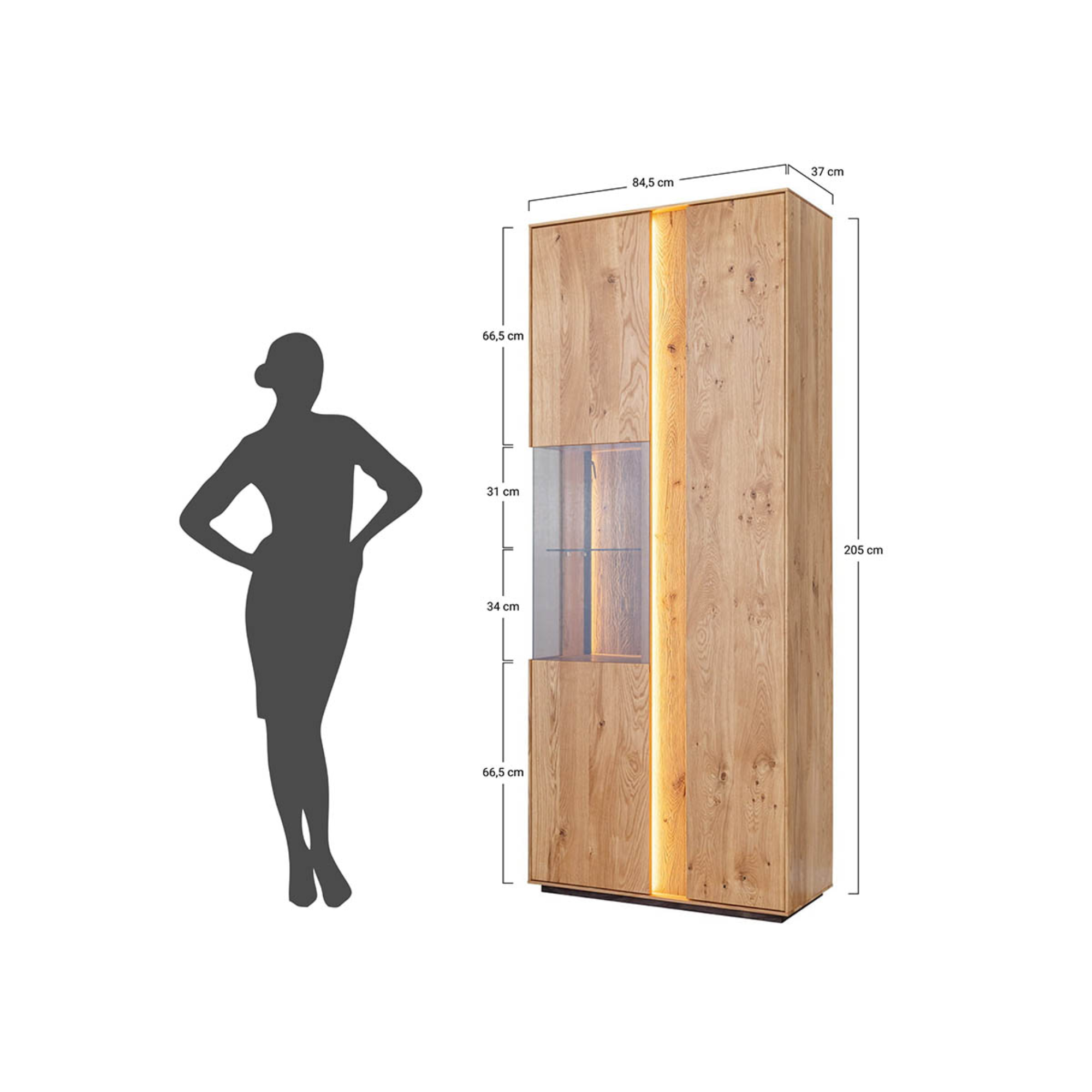 Vitrina Collodi 84,50x205cm, Materijal: Masivno Drvo Hrast