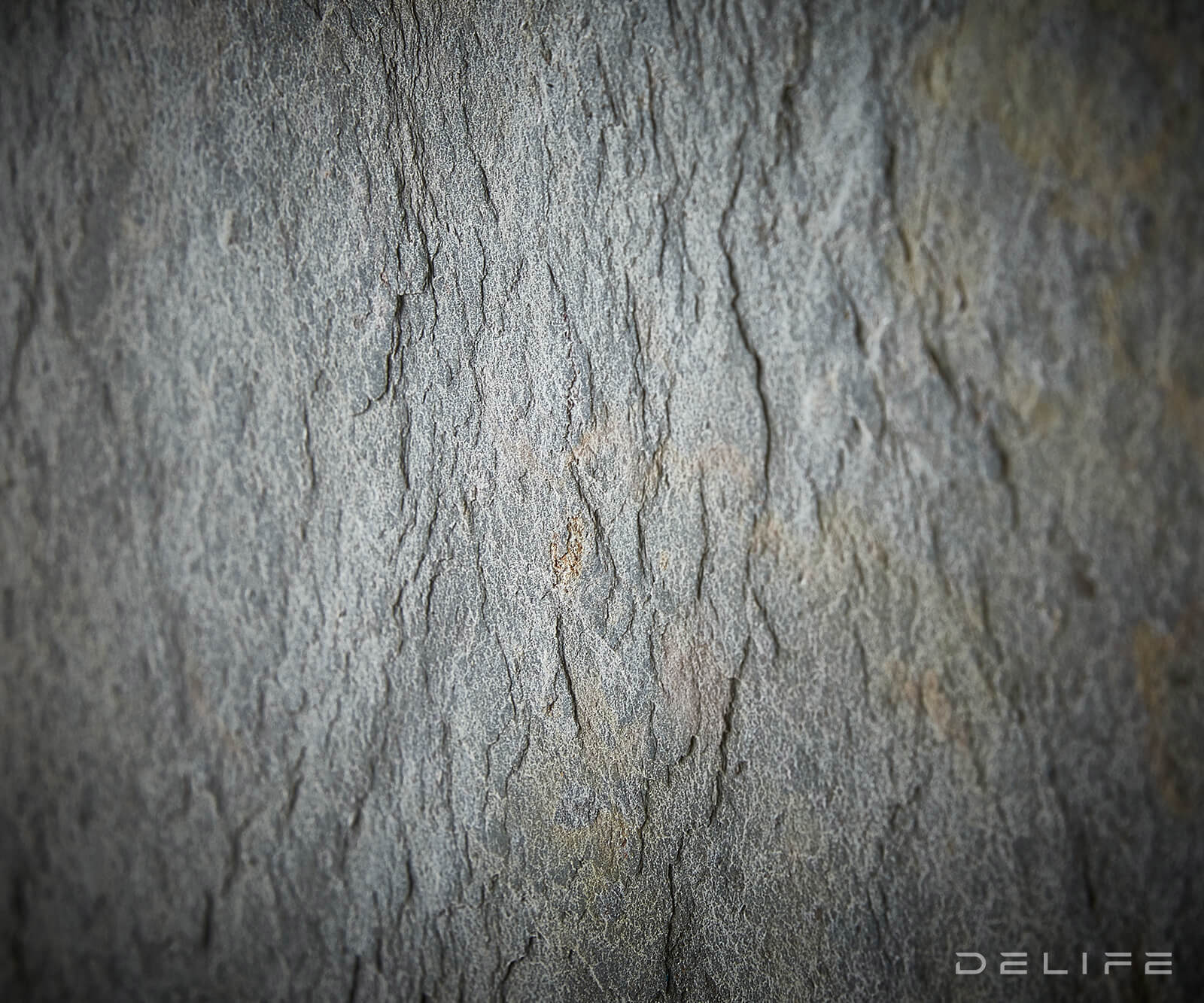 Komoda Juwelo, Materijal: Bagrem