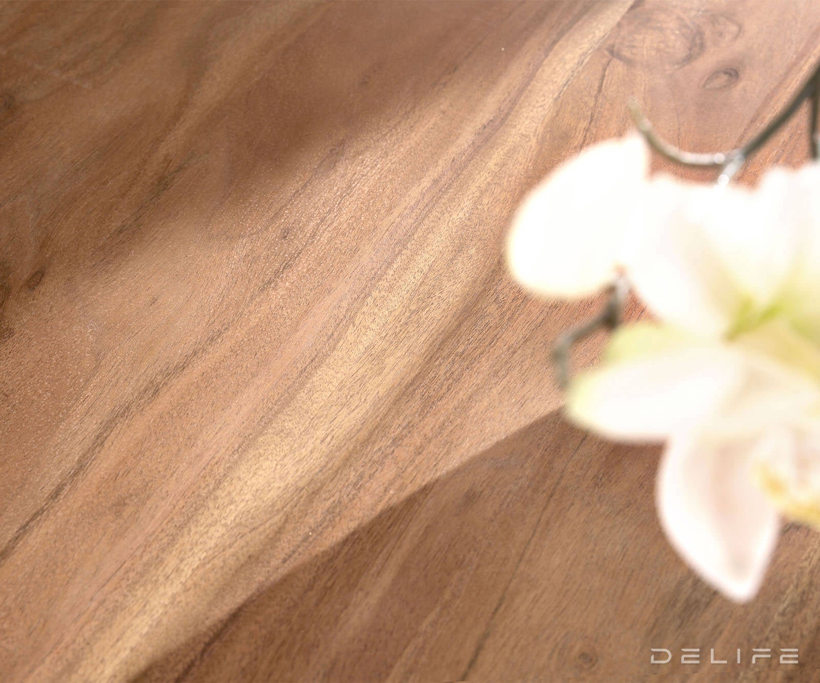 Blagovaonski stol Edge 2, Materijal: Bagrem